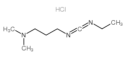 1-乙基-(3-二甲基氨基丙基)碳酰二亚胺盐酸盐